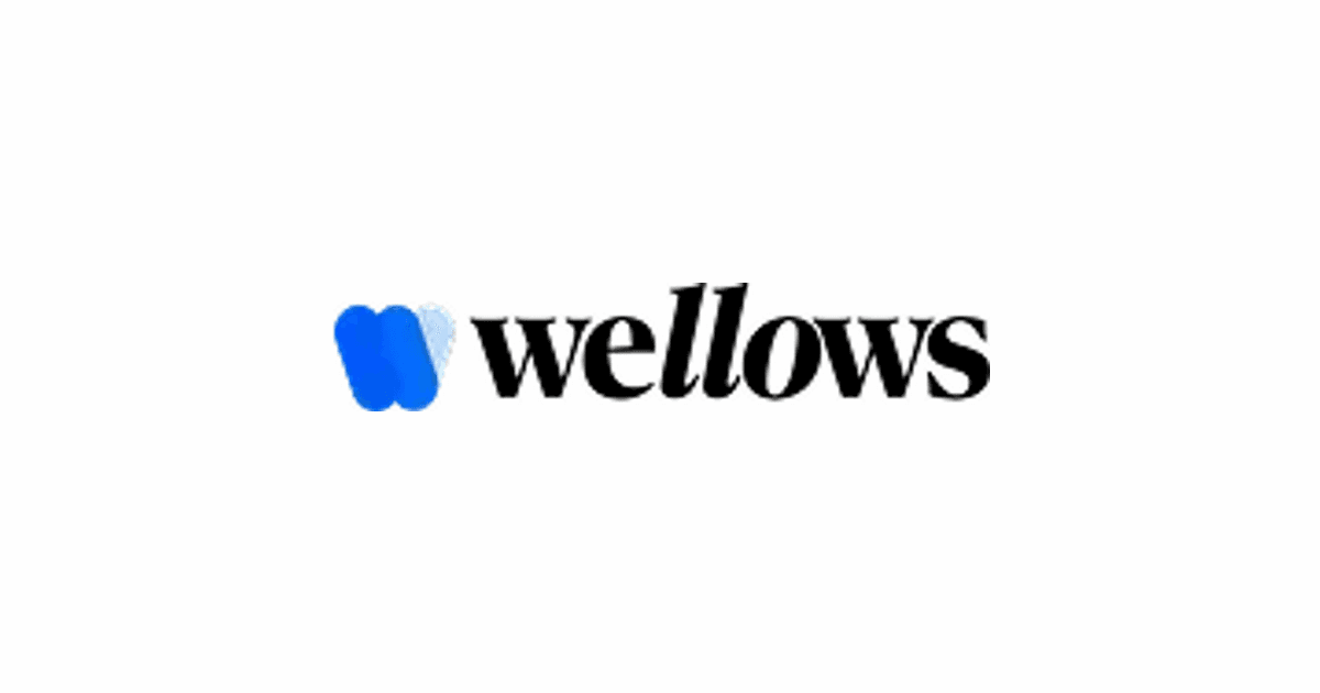 Wellows: AI Visibility Intelligence para Marcas