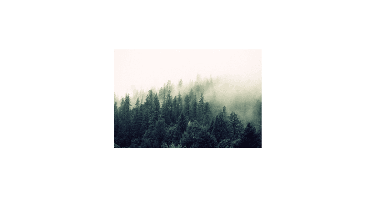 Jay Mantri — Fotos CC0 Gratuitas